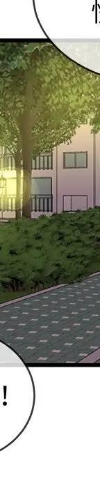 第 31 话_单身爸爸想恋爱