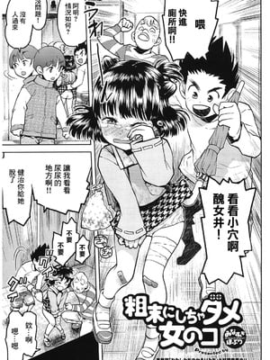 [みなすきぽぷり] 粗末にしちゃダメ女の子 [禁漫漢化組]