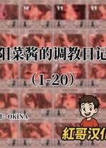 [OKINA] 陽菜ちゃん調教日記｜阳菜酱的调教日记 [Chinese]