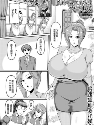 [川沼魚釣] 肉欲貴婦人は夜に咲く [中國翻訳]