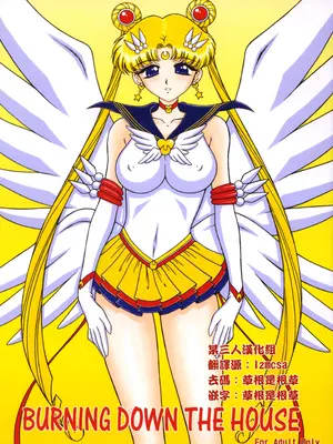 [BLACK DOG (黒犬獣)] バーニングダウンザハウス (美少女戦士セーラームーン) [某三人汉化组]